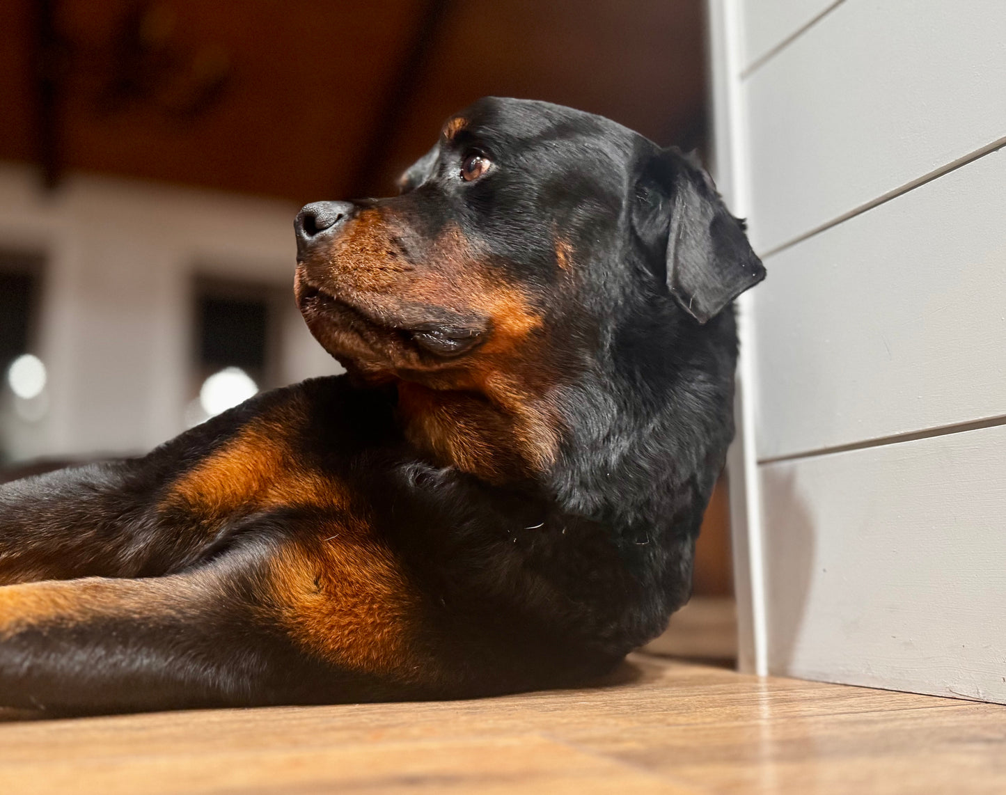 Guatemala Dark Roast Whole Bean