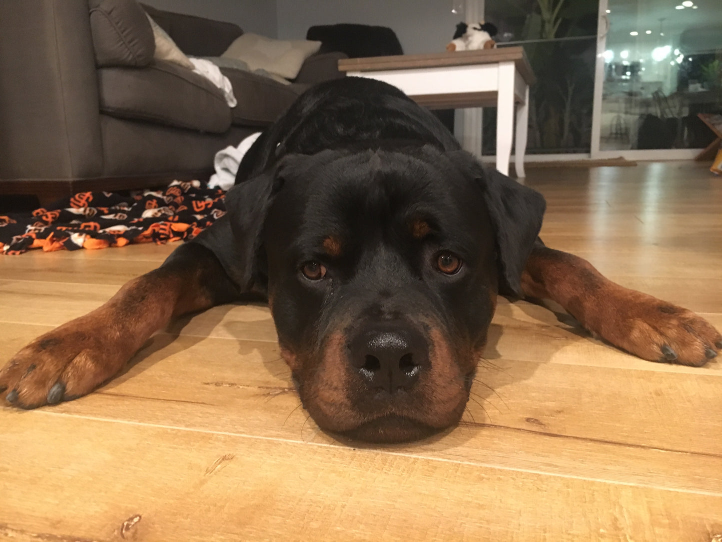 Brazil Dark Roast Whole Bean