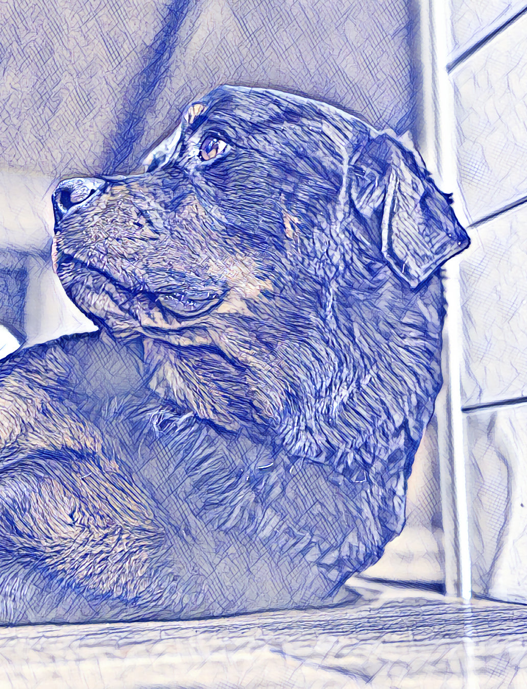 Guatemala Dark Roast Whole Bean