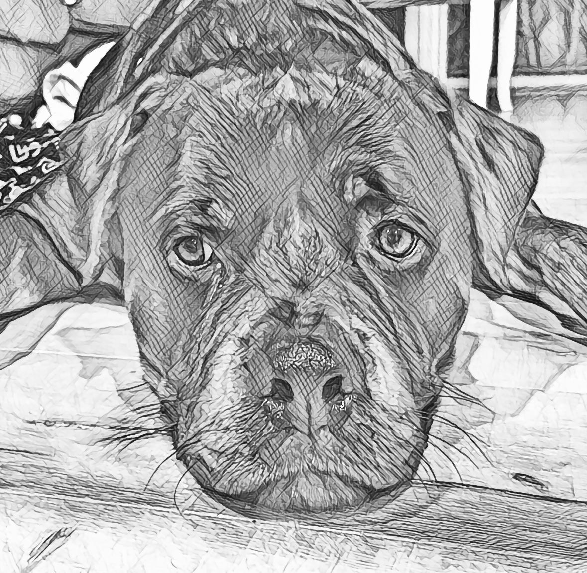 Brazil Dark Roast Whole Bean