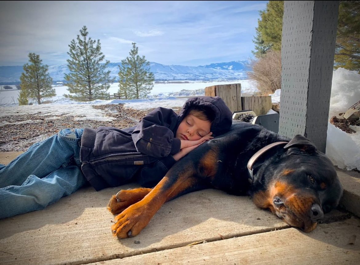 Central America, The Bruno Roast