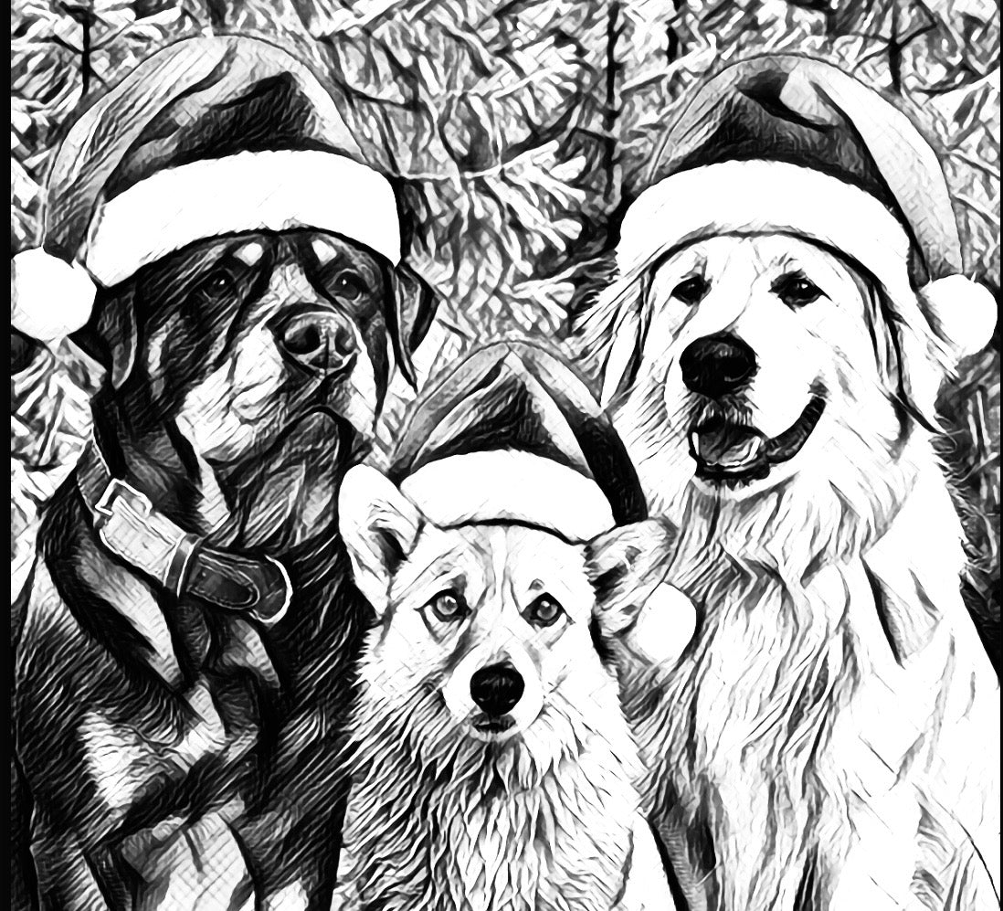 The Christmas Roast - Dark roast coffee beans